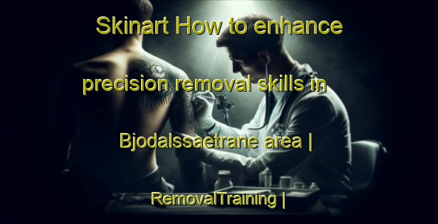 Skinart How to enhance precision removal skills in Bjodalssaetrane area | RemovalTraining | RemovalClasses | SkinartTraining-Norway